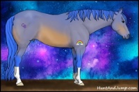 Horse Color:Watercolor Bay 