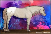 Horse Color:Liver Red Dun Snowcap