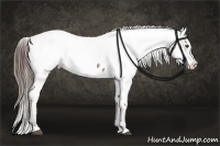 Horse Color:Liver Red Dun Appaloosa 
