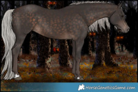 Horse Color:Silver Brown 
