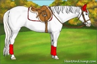 Horse Color:Silver Bay Appaloosa 