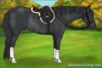 Horse Color:Black Rabicano 