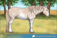 Horse Color:Perlino Sabino  and Perlino Sabino 