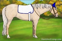 Horse Color:Silver Amber Champagne Roan