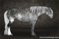 Horse Color:White Spotted Silver Brown Chinchilla Ice 