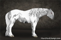 Horse Color:White Spotted Silver Smoky Black Chinchilla Tobiano 