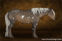 Horse Color:White Spotted Liver Chestnut Sabino 