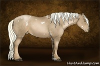 Horse Color:White Spotted Liver Chestnut Pearl 