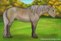 Horse Color:Silver Grullo Sabino