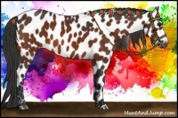 Horse Color:Bay Leopard 