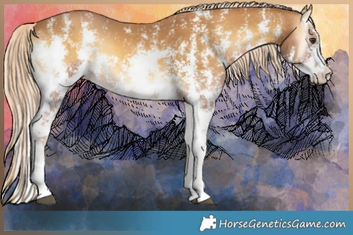 Horse Color:Palomino Onyx Sabino 