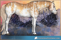 Horse Color:Palomino Onyx Sabino 