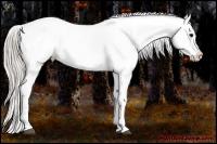 Horse Color:Silver Brown Appaloosa Brindle