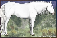 Horse Color:Gold Cream Champagne Pearl Varnish Rabicano 