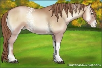 Horse Color:White Spotted Chocolate Blue Onyx Pearl 