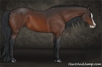 Horse Color:Bay Splash 