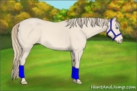 Horse Color:Perlino 