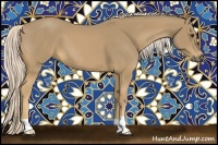 Horse Color:Palomino