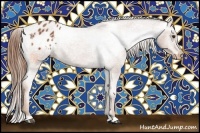 Horse Color:Chestnut Appaloosa