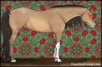 Horse Color:Amber Champagne 