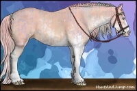 Horse Color:Watercolor Perlino Sabino  and Watercolor Perlino Sabino 