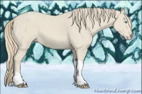 Horse Color:Smoky Creme Tobiano