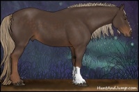Horse Color:Liver Chestnut 