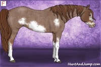 Horse Color:Red Roan Frame 