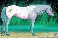 Horse Color:Watercolor Bay Appaloosa