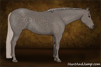 Horse Color:Silver Black 