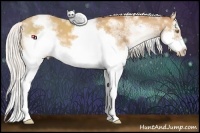 Horse Color:White Spotted Silver Classic Champagne Splash Frame 