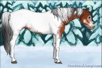 Horse Color:Bay Tobiano Frame