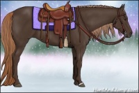 Horse Color:Liver Chestnut 