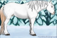 Horse Color:Buckskin Dun Splash Tobiano Appaloosa