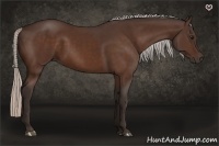 Horse Color:Silver Bay 