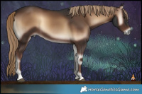 Horse Color:White Spotted Liver Red Onyx 