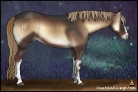 Horse Color:White Spotted Liver Red Onyx 