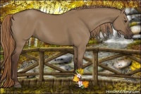 Horse Color:Liver Red Dun 