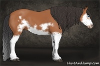 Horse Color:Bay Splash Frame