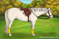 Horse Color:Perlino Roan