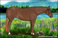Horse Color:Chestnut  and Chestnut 