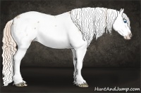 Horse Color:Chestnut Pearl Sabino Splash Rabicano 