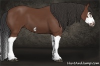 Horse Color:Bay Splash Frame