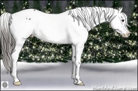 Horse Color:Black Snowflake Varnish