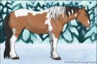 Horse Color:Bay Splash Tobiano Frame 
