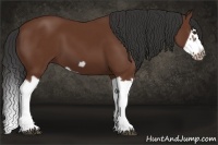 Horse Color:Bay Splash Frame