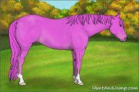 Horse Color:Watercolor Chestnut 