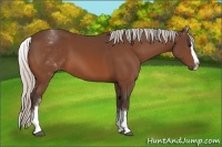 Horse Color:White Spotted Silver Bay Splash 