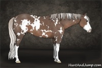 Horse Color:White Spotted Silver Black Splash
