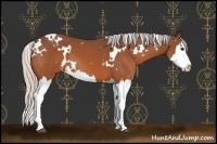 Horse Color:White Spotted Silver Bay Splash 